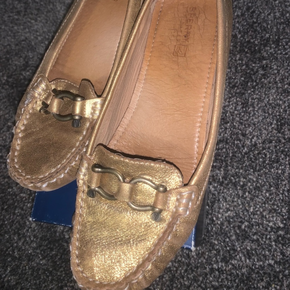 Sperry flats